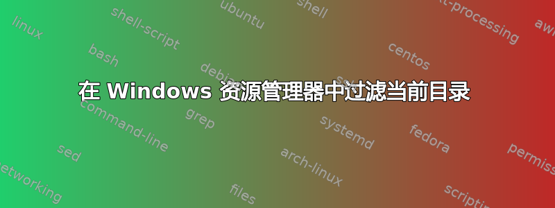 在 Windows 资源管理器中过滤当前目录