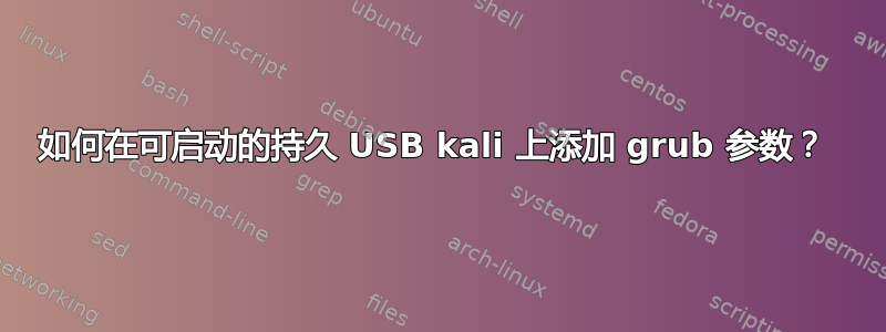 如何在可启动的持久 USB kali 上添加 grub 参数？ 