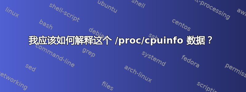 我应该如何解释这个 /proc/cpuinfo 数据？