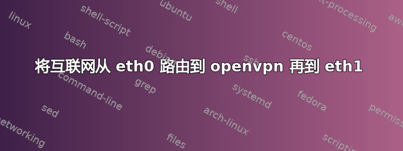 将互联网从 eth0 路由到 openvpn 再到 eth1