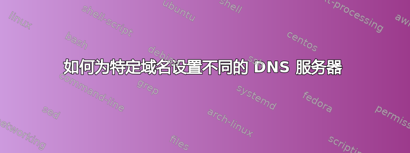 如何为特定域名设置不同的 DNS 服务器