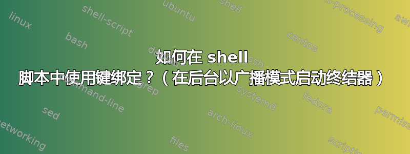 如何在 shell 脚本中使用键绑定？（在后台以广播模式启动终结器）