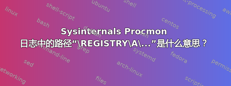 Sysinternals Procmon 日志中的路径“\REGISTRY\A\...”是什么意思？