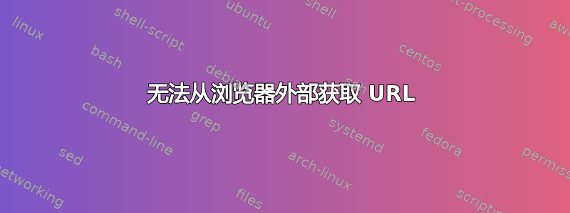 无法从浏览器外部获取 URL