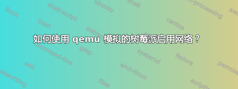 如何使用 qemu 模拟的树莓派启用网络？