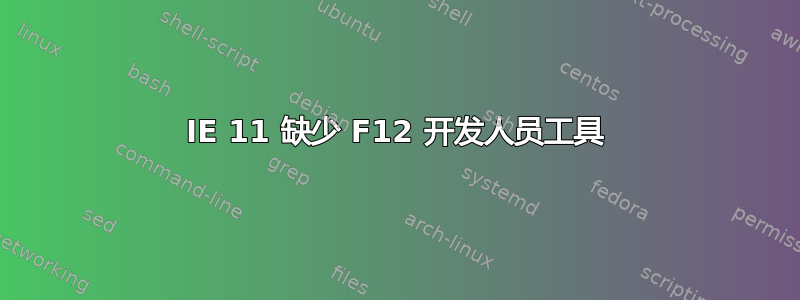 IE 11 缺少 F12 开发人员工具