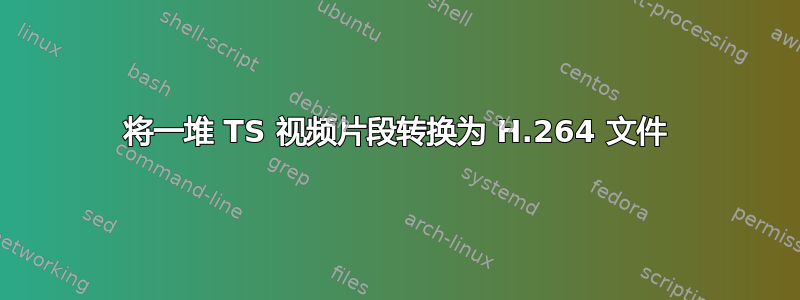 将一堆 TS 视频片段转换为 H.264 文件