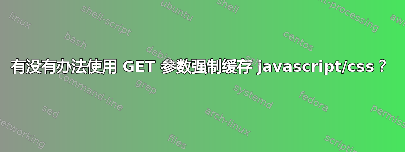 有没有办法使用 GET 参数强制缓存 javascript/css？