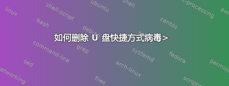 如何删除 U 盘快捷方式病毒> 