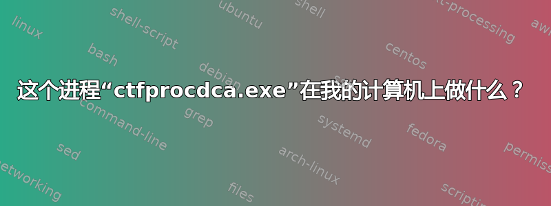 这个进程“ctfprocdca.exe”在我的计算机上做什么？