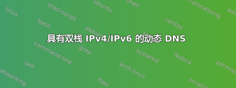 具有双栈 IPv4/IPv6 的动态 DNS