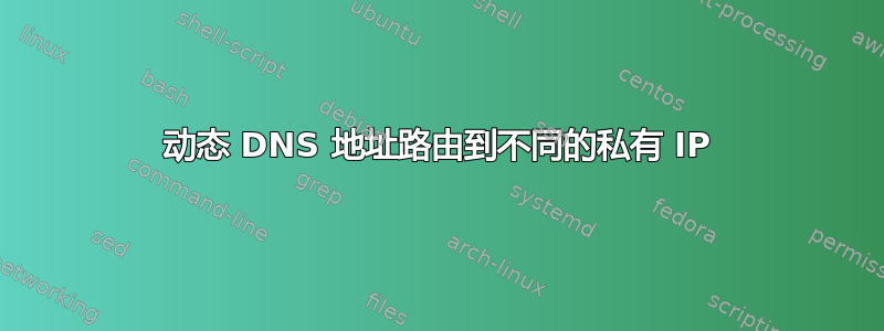 动态 DNS 地址路由到不同的私有 IP