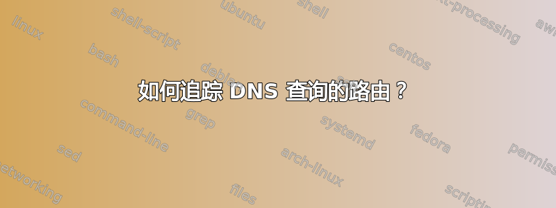 如何追踪 DNS 查询的路由？