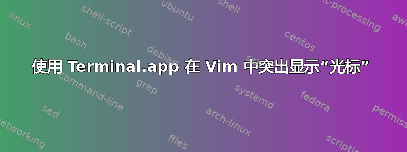 使用 Terminal.app 在 Vim 中突出显示“光标”