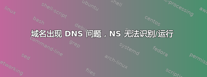 域名出现 DNS 问题，NS 无法识别/运行