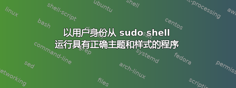 以用户身份从 sudo shell 运行具有正确主题和样式的程序