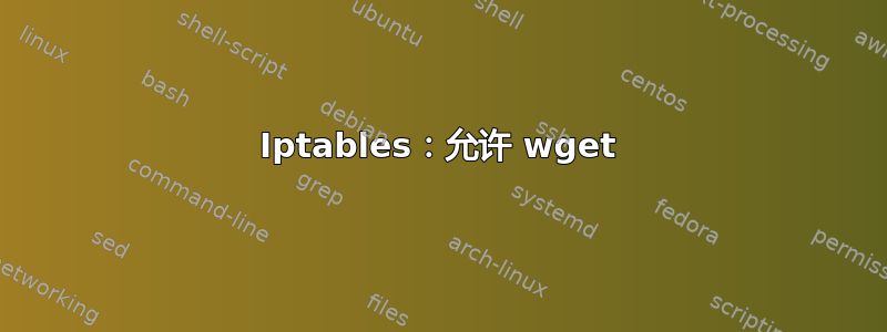 Iptables：允许 wget