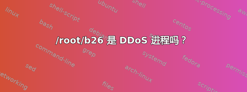 /root/b26 是 DDoS 进程吗？