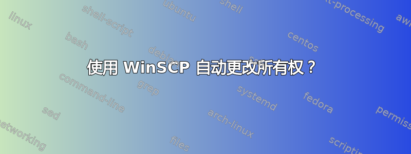 使用 WinSCP 自动更改所有权？