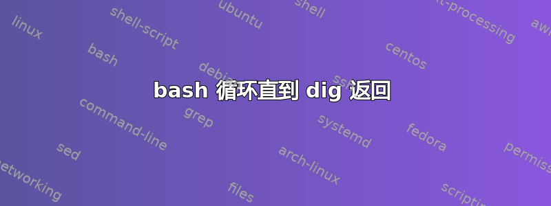 bash 循环直到 dig 返回