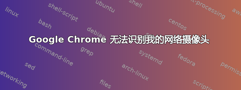 Google Chrome 无法识别我的网络摄像头