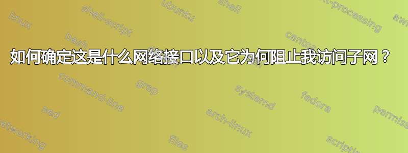 如何确定这是什么网络接口以及它为何阻止我访问子网？ 