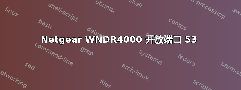 Netgear WNDR4000 开放端口 53