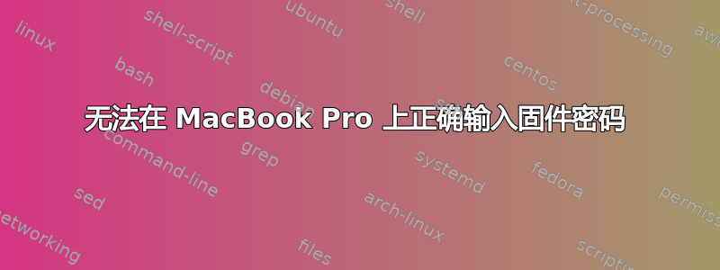 无法在 MacBook Pro 上正确输入固件密码