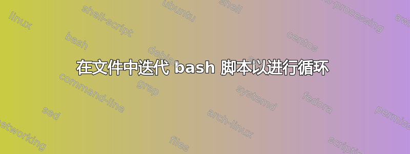 在文件中迭代 bash 脚本以进行循环