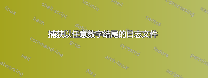 捕获以任意数字结尾的日志文件