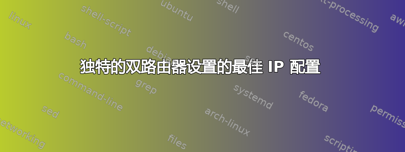 独特的双路由器设置的最佳 IP 配置