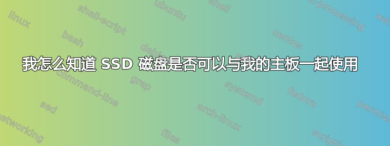 我怎么知道 SSD 磁盘是否可以与我的主板一起使用 