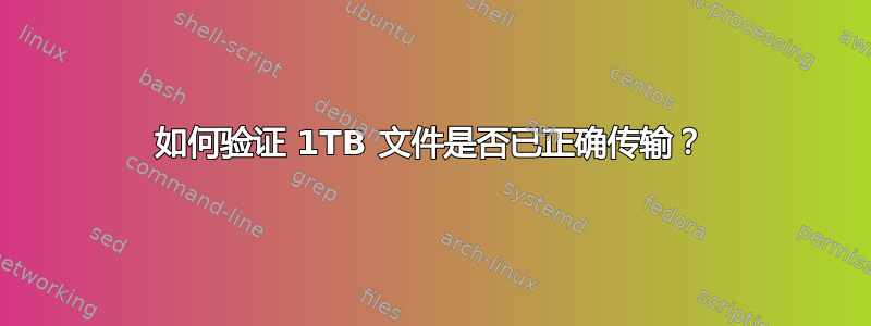 如何验证 1TB 文件是否已正确传输？