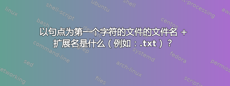 以句点为第一个字符的文件的文件名 + 扩展名是什么（例如：.txt）？