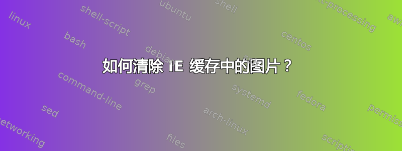 如何清除 IE 缓存中的图片？