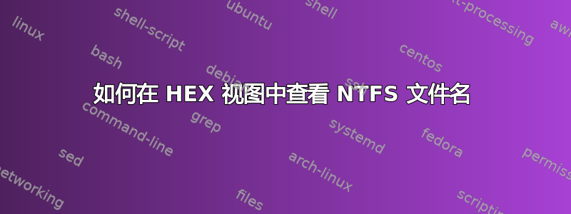 如何在 HEX 视图中查看 NTFS 文件名