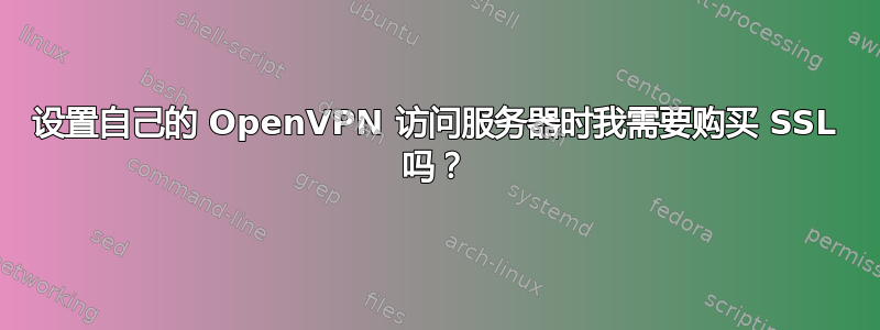 设置自己的 OpenVPN 访问服务器时我需要购买 SSL 吗？