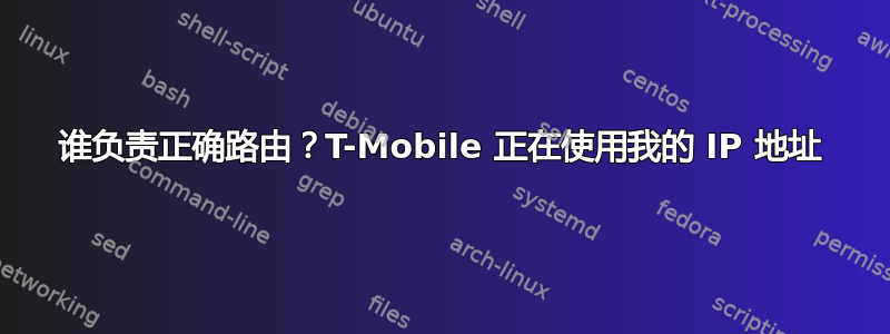 谁负责正确路由？T-Mobile 正在使用我的 IP 地址