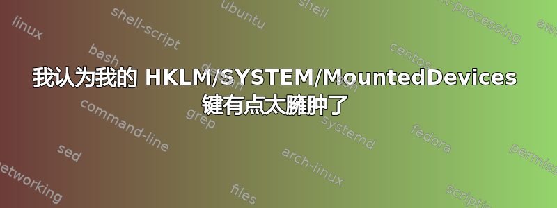 我认为我的 HKLM/SYSTEM/MountedDevices 键有点太臃肿了