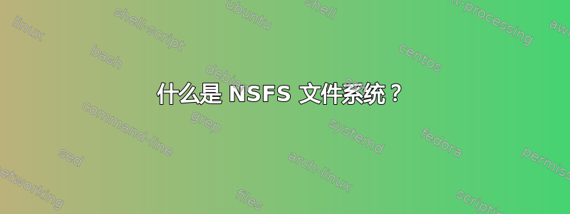 什么是 NSFS 文件系统？