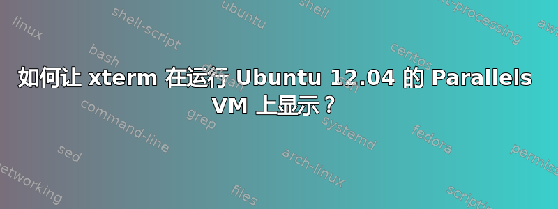 如何让 xterm 在运行 Ubuntu 12.04 的 Parallels VM 上显示？