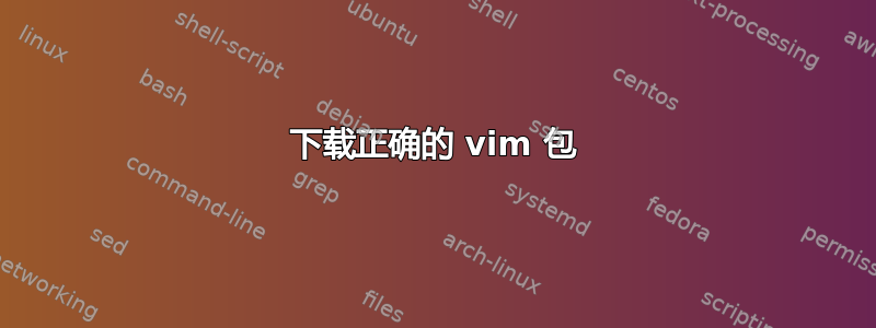 下载正确的 vim 包