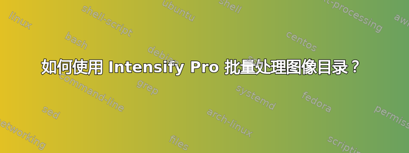 如何使用 Intensify Pro 批量处理图像目录？