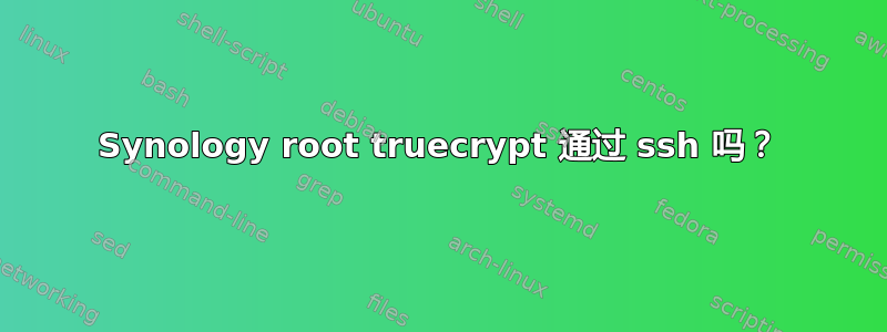 Synology root truecrypt 通过 ssh 吗？