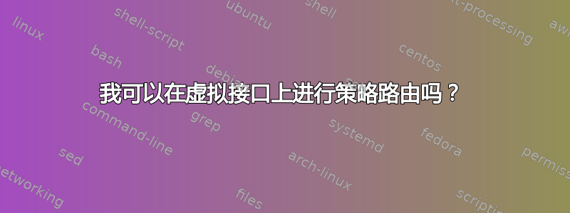 我可以在虚拟接口上进行策略路由吗？