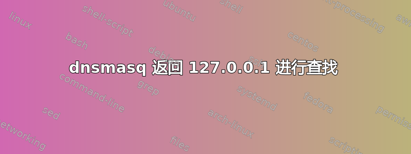 dnsmasq 返回 127.0.0.1 进行查找