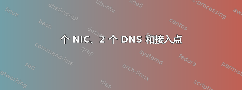 2 个 NIC、2 个 DNS 和接入点