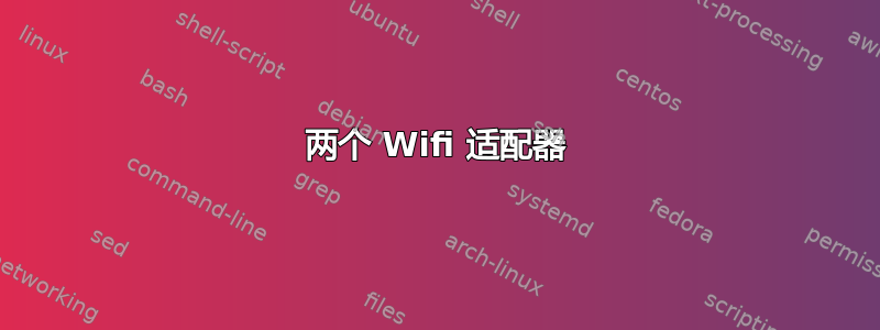 两个 Wifi 适配器