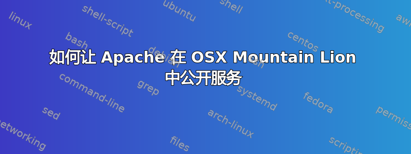 如何让 Apache 在 OSX Mountain Lion 中公开服务