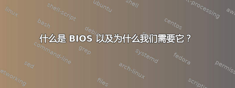 什么是 BIOS 以及为什么我们需要它？